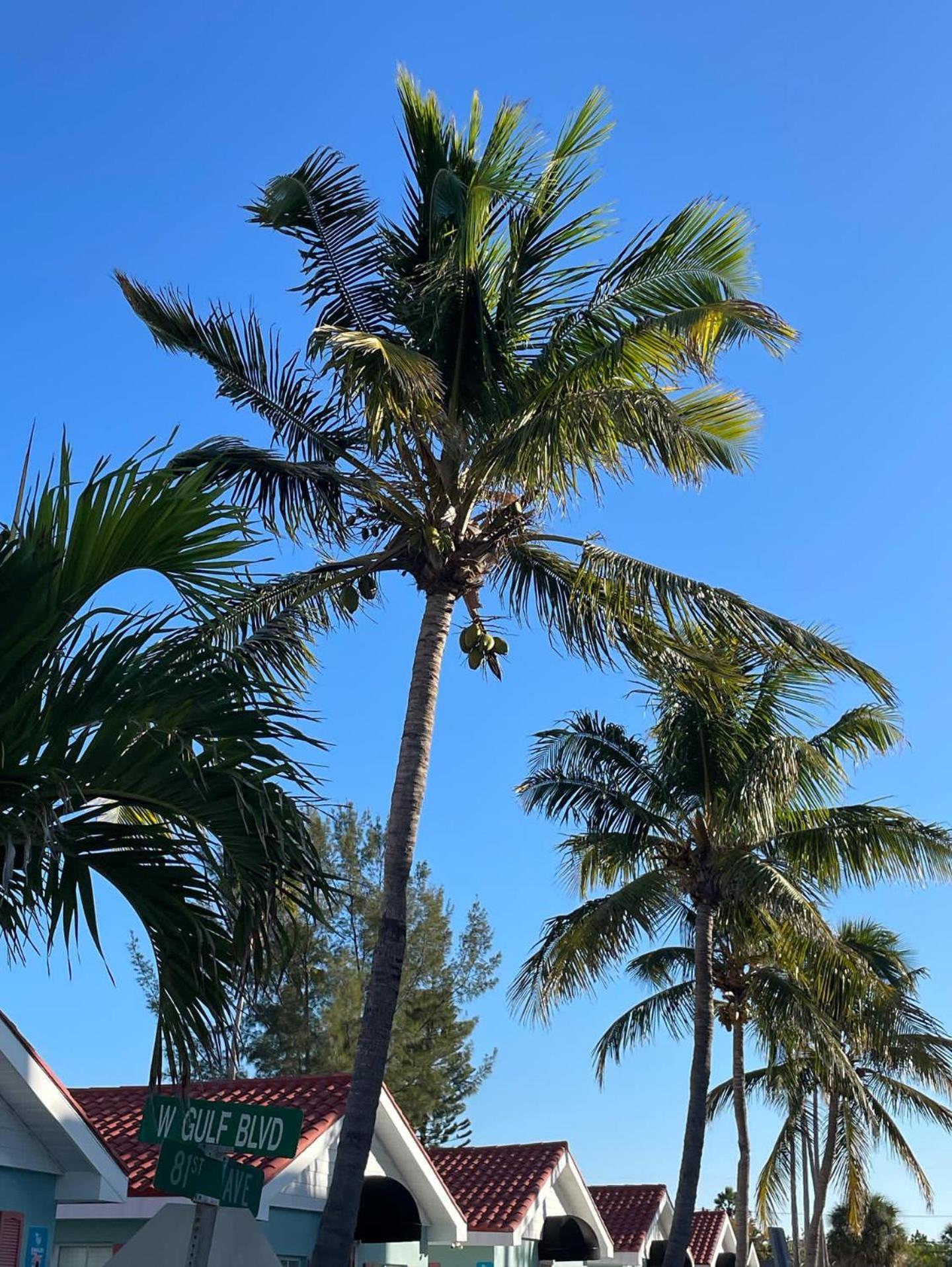 Hotel Blue Waters Treasure Island Exterior foto